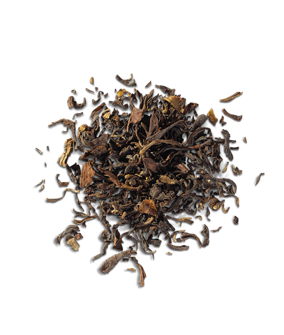 Organic Darjeeling Estate