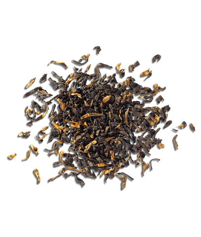 Assam Golden Tip